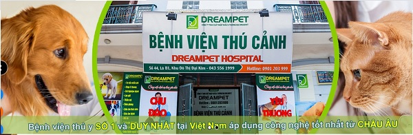 Bệnh viện thú y DreamPet